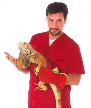 Albert Martinez Silvestre